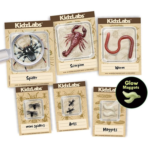 Science Discovery Kit - Grav insekter op Flerfärgad