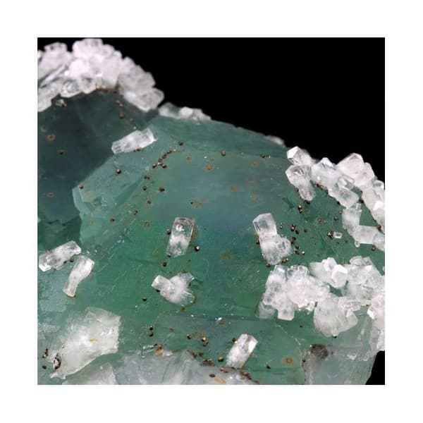 Fluorit - Ett BIJOUX - 1158.0 ct - 85 x 65 x 25 mm - Grå