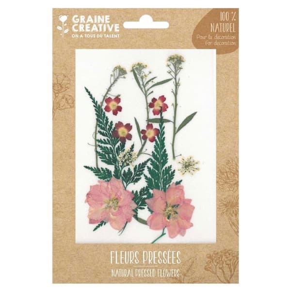 13 pressade blommor - röd äng Ros