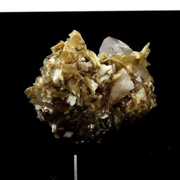Sten og Mineraler - ABIJOUX - Kvarts + Muskovit - 1562.0 ct - Linópolis, Divino das Laranjeiras, Brasilien