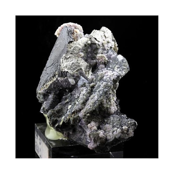 Sten og mineraler. Wolframit, Kvarts, Siderit, Pyrit. 3680,0 øre. Panasqueira-minerne, Portugal.