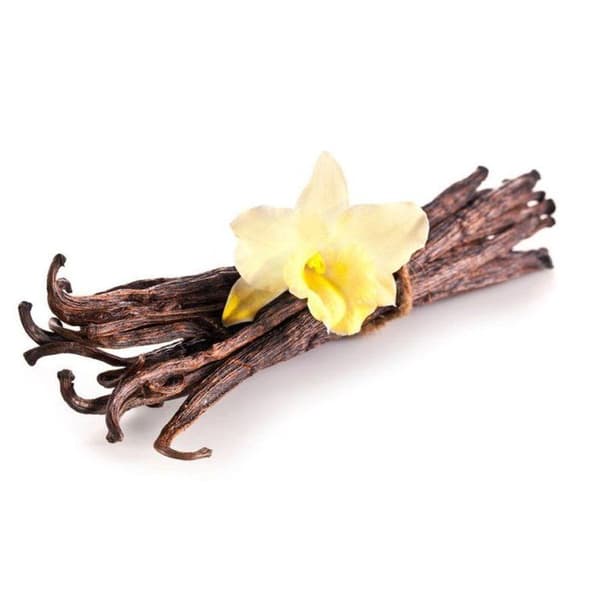 Graine Créative - Duftlys 27 ml Vanilje brun