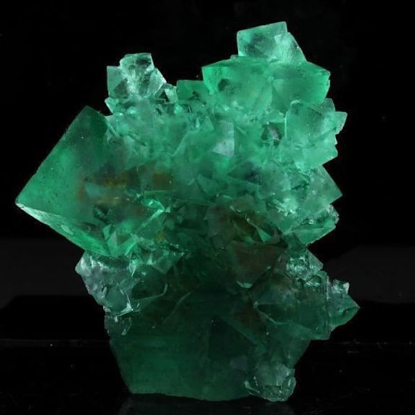 Fluorit - ABIJOUX - Riemvasmaak - 541,0 ct - Lila - Äkthetscertifikat