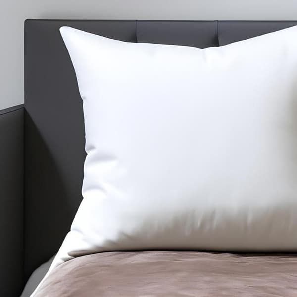 Kuddar - ERBJUDANDE PÅ TEXTIL - Polyester - 65x65 cm - Vit Paket med 2 Vit