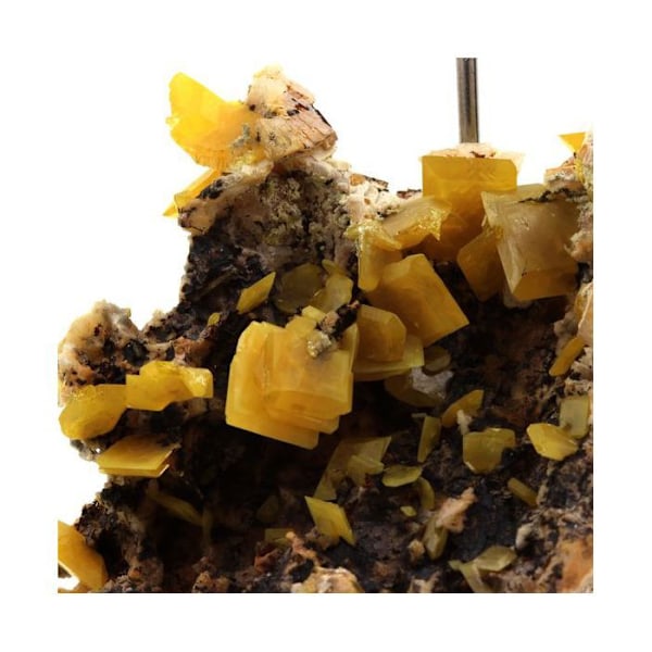 Sten og mineraler. Wulfenit. 233,5 øre. Touissit, Jerada-provinsen, Marokko.