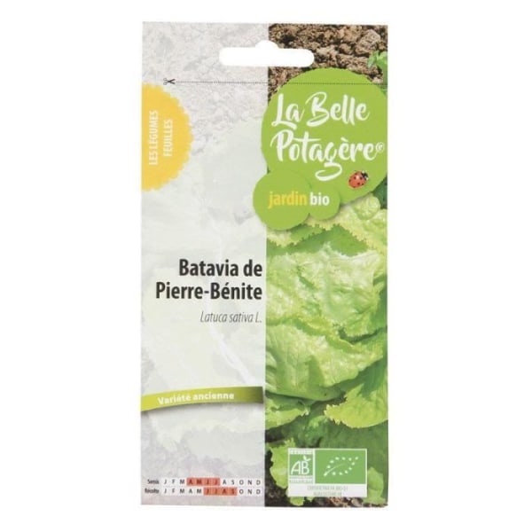 Frön för sådd - Batavia de Pierre-Bénite - 0,5 g