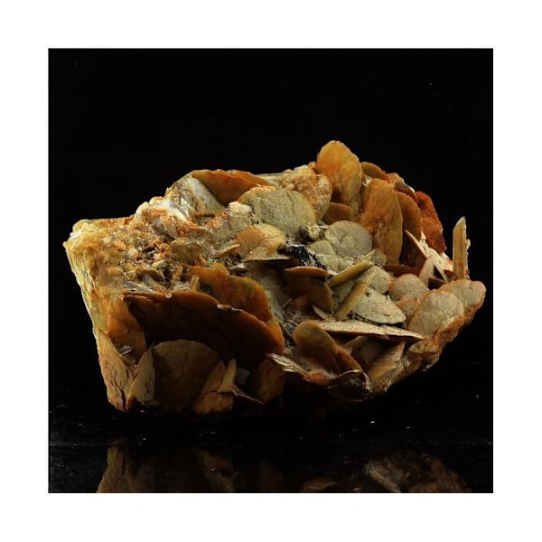 Sten og mineraler. Siderit + Kvarts. 1386,0 øre. Mésage Mine, Vizille, Frankrig..