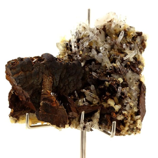 Sten og mineraler. Siderit, Kvarts, Pyrit. 1329,0 øre. Mésage Mine, Saint-Pierre-de-Mésage, Frankrig.