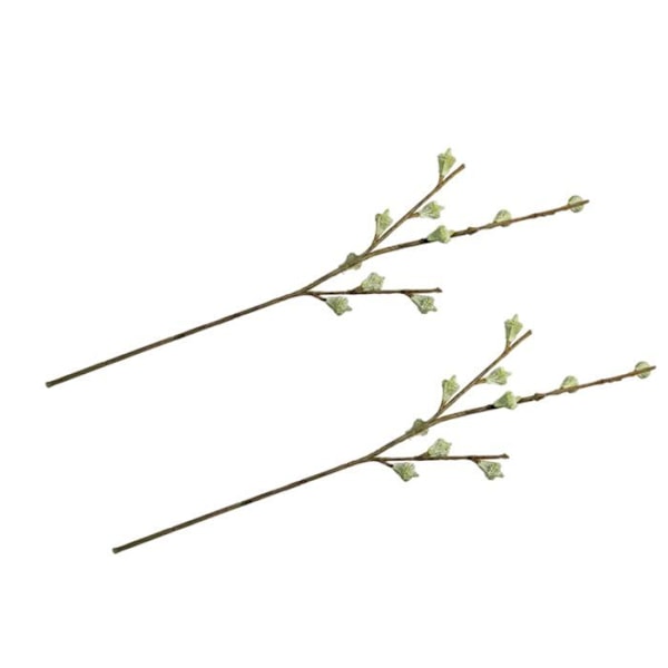 2 grene af eukalyptusfrugter