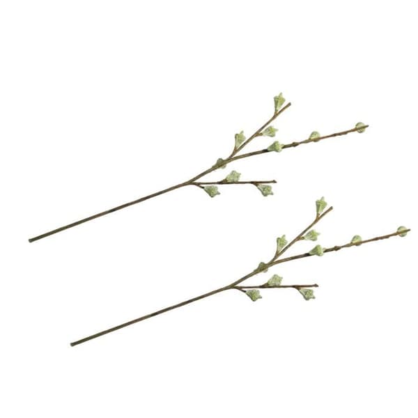 2 oksaa eukalyptuksen hedelmiä Grön