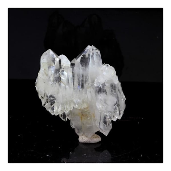 Ame quartz (faden quartz) - ABIJOUX - 67,0 ct - La Table, Chambéry, Frankrig