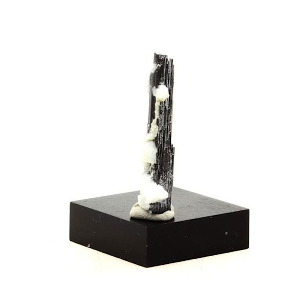 Sten og mineraler. Turmalin Schorl. 16,0 ct. Shigar Valley, Skardu-distriktet, Pakistan.