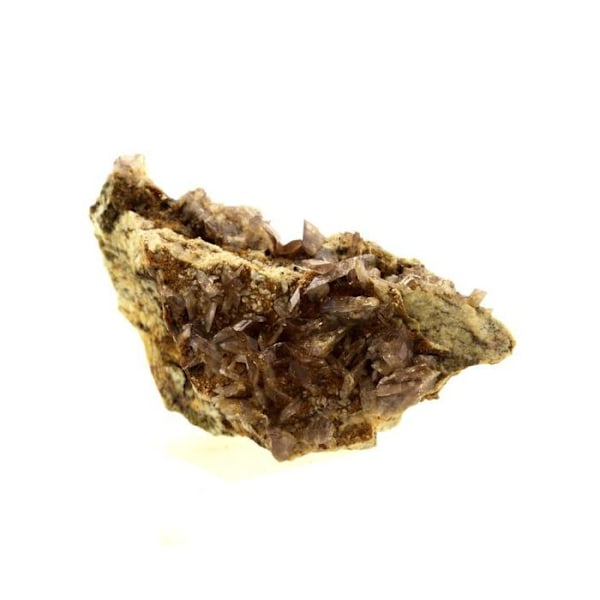 Stenar och mineraler. Axinit. 116,0 cent. La Balme d'Auris, Bourg d'Oisans, Isère, Frankrike..