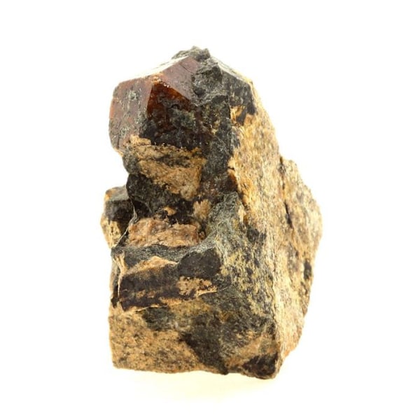Sten og mineraler. Grossulær granat-Andradite. 218,0 ct. Pyrénées-Orientales, Frankrig.. Röd