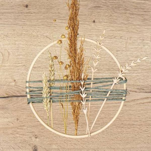 Gladiolus stamme af træ 20 cm beige