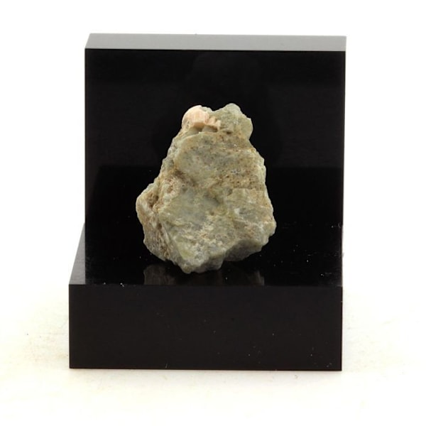 Diopside 24,4 karat Flerfärgad