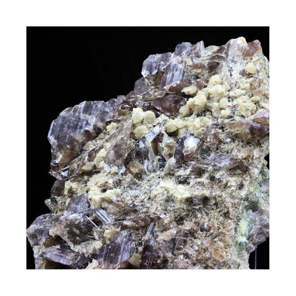 Stenar och mineraler. Axinit + Prehnite. 723,5 cent. Chamrousse, Belledonne, Isère, Frankrike.