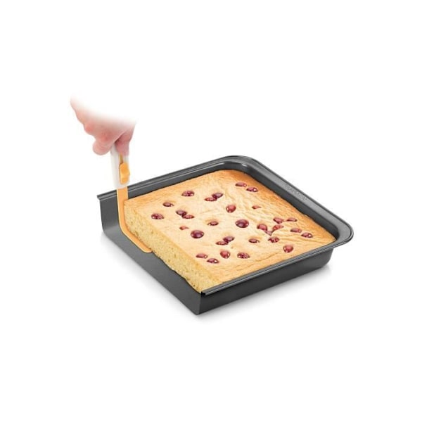 Avtagbar spatula