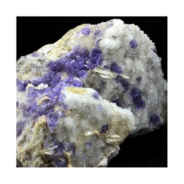 Sten og mineraler. Fluorit + Baryt + Kvarts. 4902,0 ct. La Cabaña, Berbes, Asturien, Spanien.