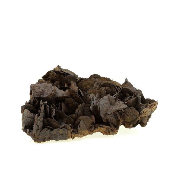 Kivet ja Mineraalit. Siderite. 3640,0 ct. Vizille, Isère, Ranska.