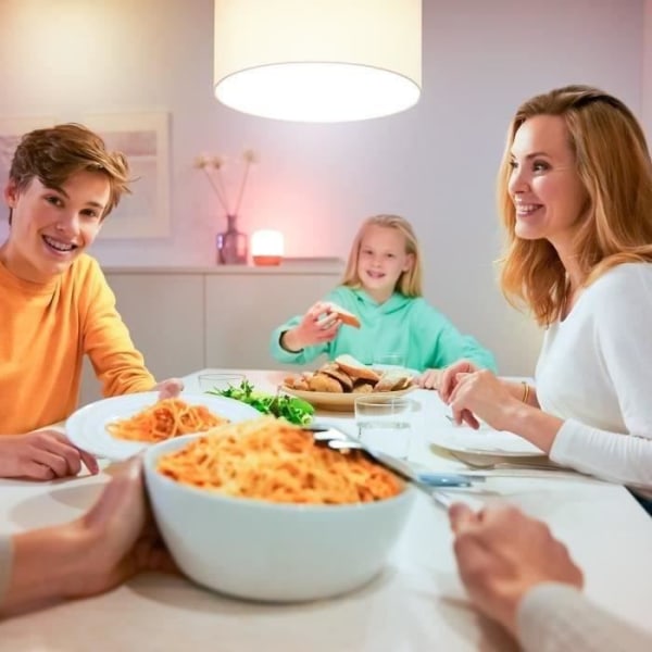 WiZ Tilsluttet pære Hvid variabel E27 100W