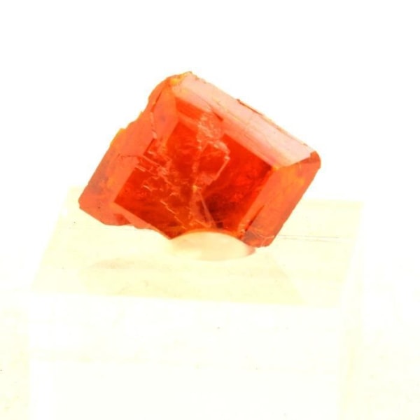 Sten og mineraler. Wulfenit. 31,59 øre. Red Cloud Mine, La Paz Co., Arizona, USA.