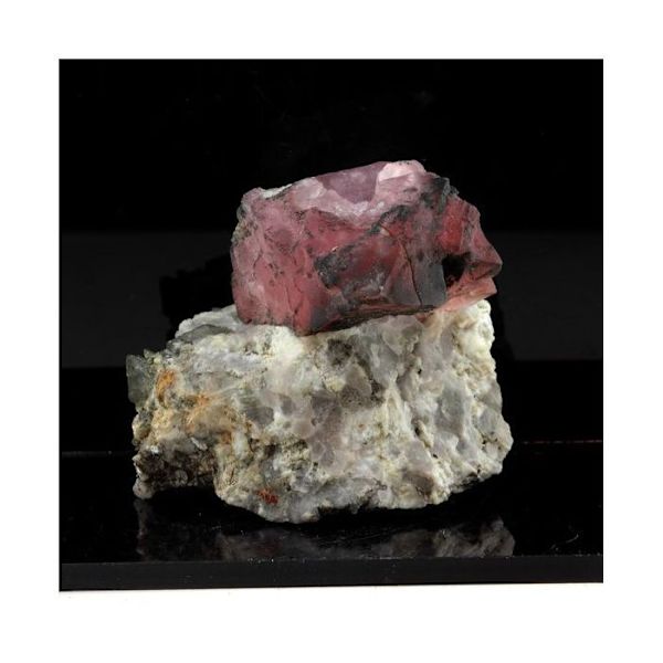 Sten og mineraler. Fluorit. 462,0 øre. Mont-Blanc-massivet (Les Droites), Frankrig.