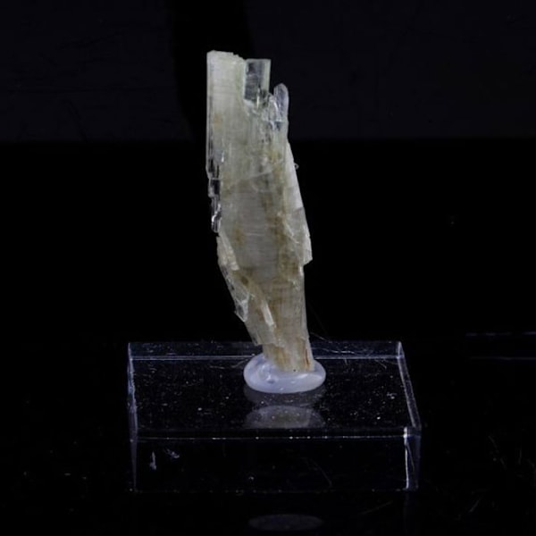 Kivet ja mineraalit. Klinotsoisiitti. 14,60 senttiä. Marine de Scala, Canari, Haute-Corse, Ranska.