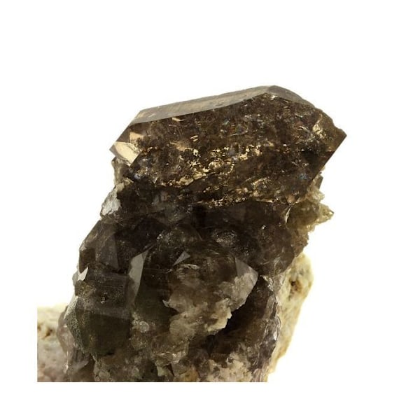Sten og mineraler. Røgkvarts. 372,0 ct. Mont-Blanc-massivet, Haute-Savoie, Frankrig.