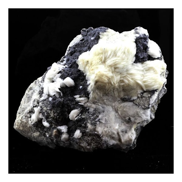 Stenar och mineraler. Baryt + Sfalerit. 2567,0 cent. Mechelen, Saint-Laurent-le-Minier, Occitanie, Frankrike.