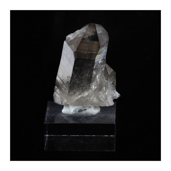 Sten og mineraler. Røgkvarts. 41,2 øre. Dome des Petites Rousses, Oz, Isère, Frankrig..