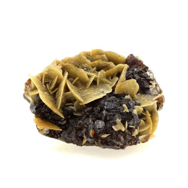 Stenar och mineraler. Sphalerit (Blende) + Siderit. 590,3 cent. La Mure, Isère, Frankrike. sällsynt.
