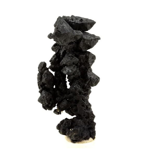 Sten og mineraler. Acanthit. 131,0 øre. Imiter Mine, Drâa-Tafilalet, Marokko.