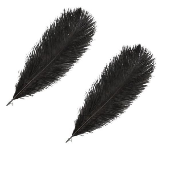 2 svarta strutsfjädrar