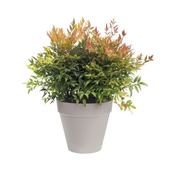 ELHO Round Urban Flower Pot - Ø 30 cm - Warm Grey varm grå