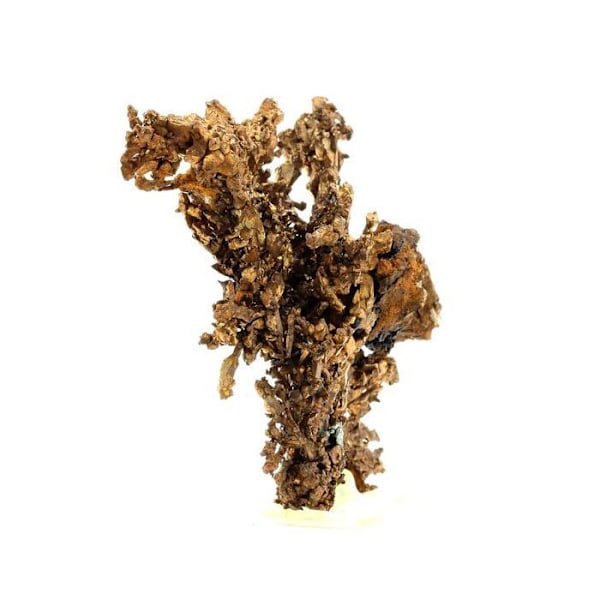 Sten og mineraler. Indfødt kobber. 659,5 øre. Rubtsovskoe, Altai Krai, Rusland.