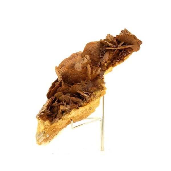 Sten og mineraler. Siderit + Sphalerit. 3000,0 øre. Pierre Rousse mine, Vizille, Frankrig.