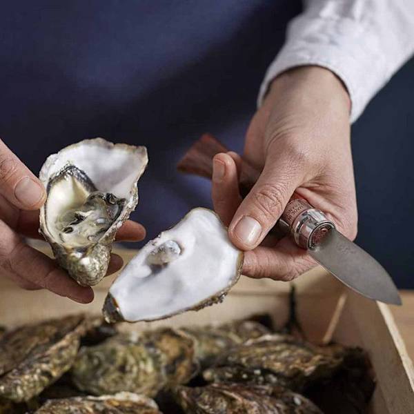 Oyster- ja simpukkapuukko - OPINEL - N9 - Terä inox 6,5 cm - Teräksestä Sandvik 12C27 - Kestävä kastanj