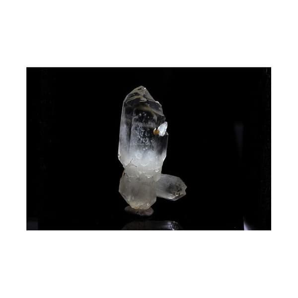 Bitterminerad Scepter Quartz 52,66 karat Vit