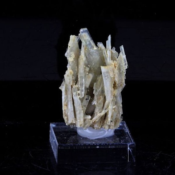 Sten og mineraler. Klinozoisit. 31,0 ct. Marine de Scala, Canari, Haute-Corse, Frankrig.