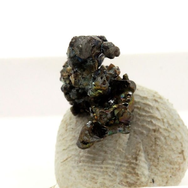 Sten og mineraler. Tetrahedrit. 9,5 ct. Mésage Mine, Saint-Pierre-de-Mésage, Frankrig.