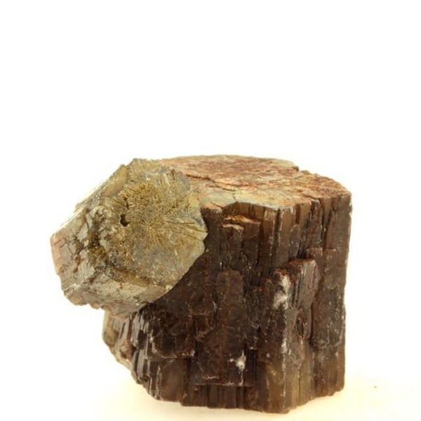 Sten og mineraler. Aragonit. 381,5 øre. Molina de Aragón, Guadalajara, Spanien.