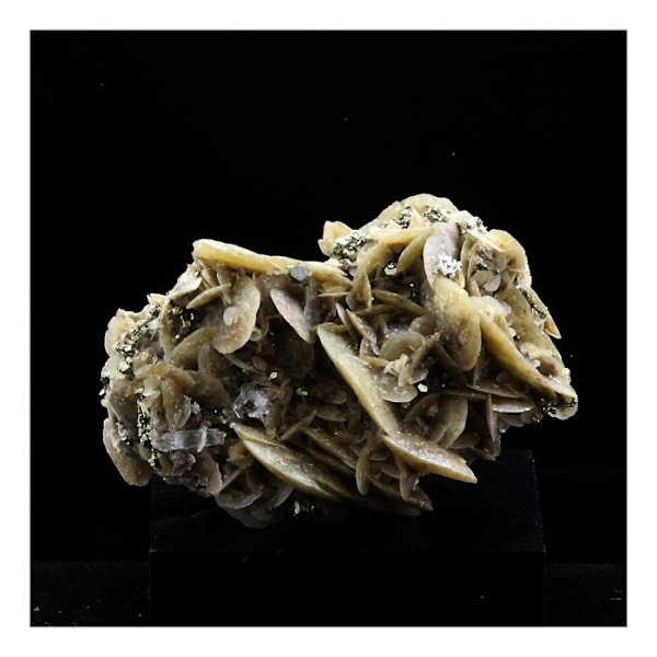 Sten og mineraler. Siderit, Kvarts, Pyrit. 118,0 ct. Mésage Mine, Saint-Pierre-de-Mésage, Frankrig.