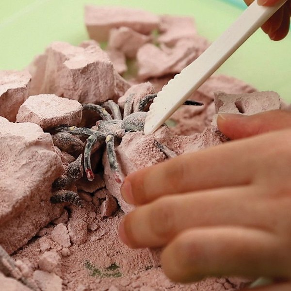 Science Discovery Kit - Grav insekter op Flerfärgad
