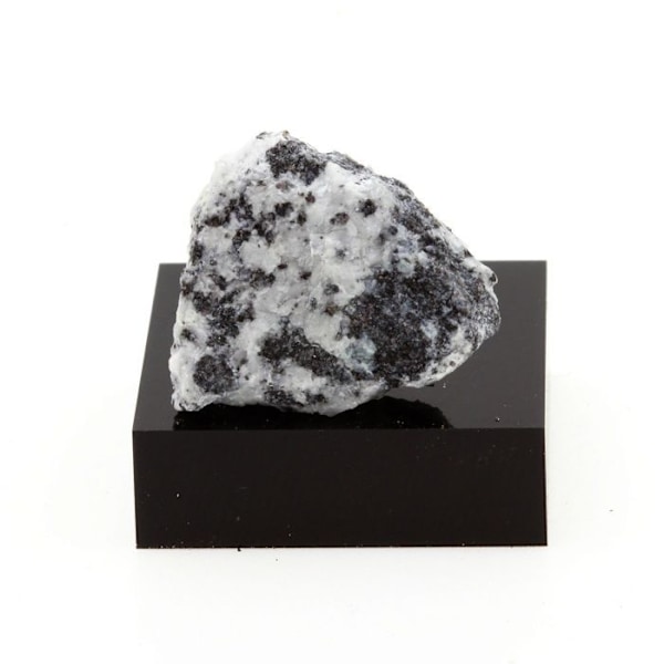 Ludwigite 31,1 karaattia Flerfärgad
