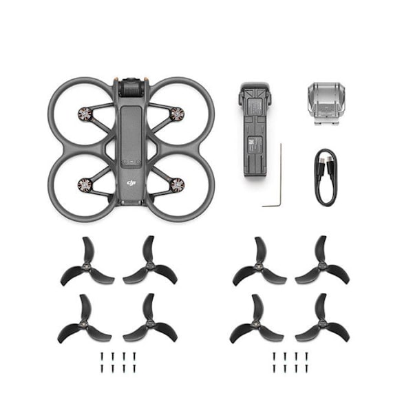 DJI Avata 2 - Endast drönare Grå