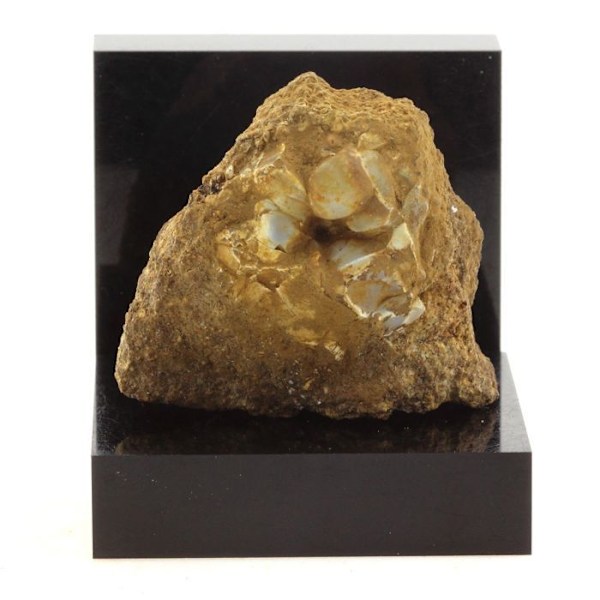 Lussatite (Opal-CT) 82,4 karat