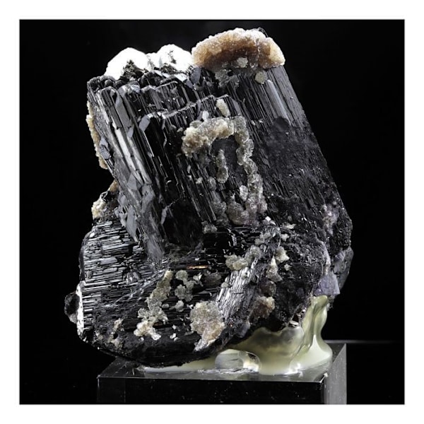 Sten og mineraler. Wolframit, Kvarts, Siderit, Pyrit. 3680,0 øre. Panasqueira-minerne, Portugal.