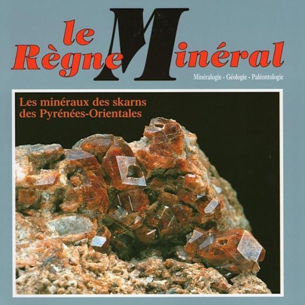 Grossular catalansk granat-Andradite 31,0 karat Röd