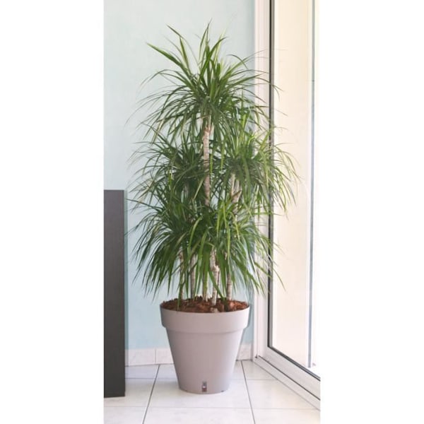 RIVIERA Loftblomsterpot med vandreservat - Rundt - Ø 50 x H 46 cm - Taupe Mol